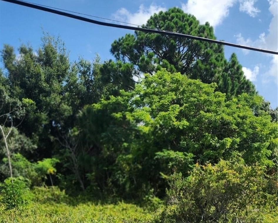 Land at 26532 ANGELICA RD, PUNTA GORDA, photo 6 of 16
