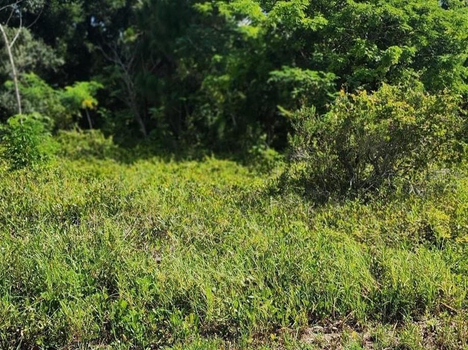Land at 26532 ANGELICA RD, PUNTA GORDA, photo 7 of 16