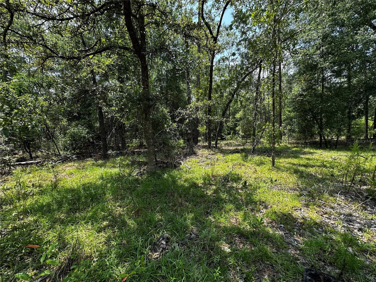 Land at 6270 NE 139TH AVE, WILLISTON, photo 5 of 18