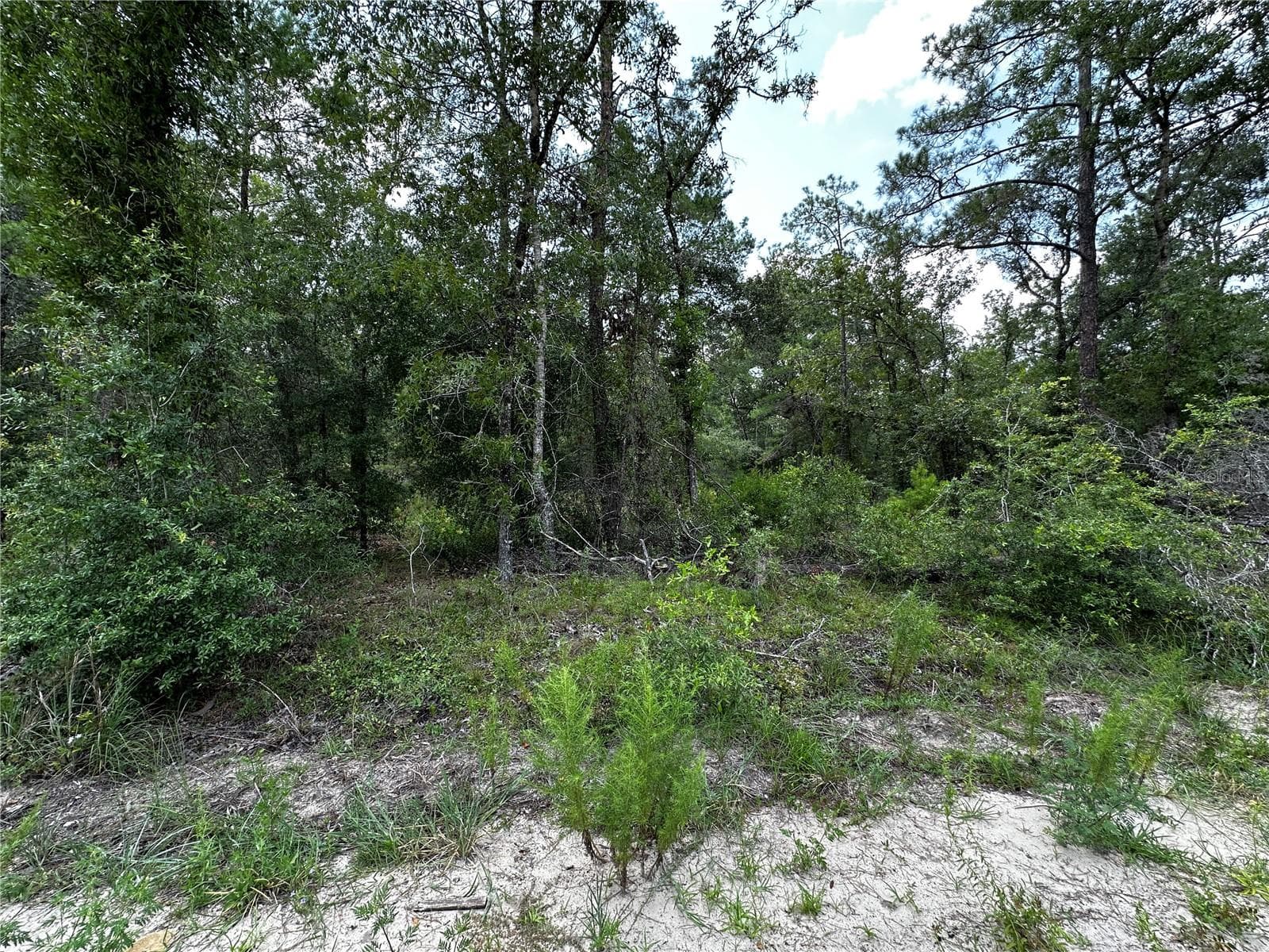 Land at 6270 NE 139TH AVE, WILLISTON, photo 10 of 18