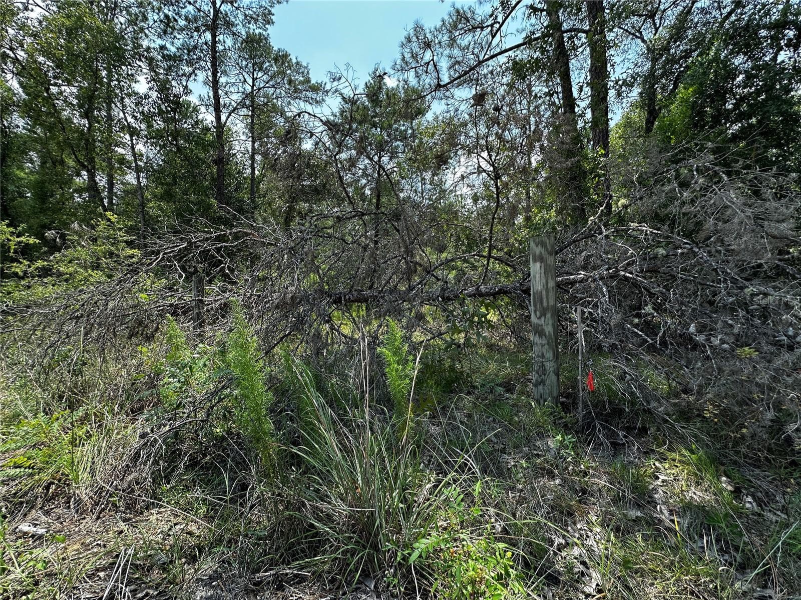 Land at 6270 NE 139TH AVE, WILLISTON, photo 12 of 18
