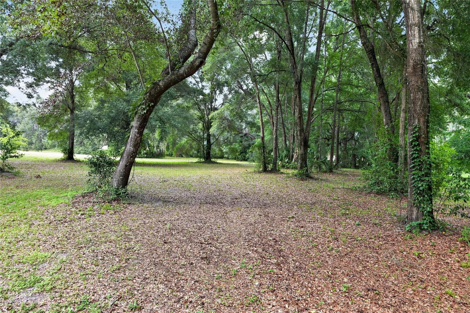Single Family Residence at 18741 N US HIGHWAY 301, CITRA, photo 75 of 78