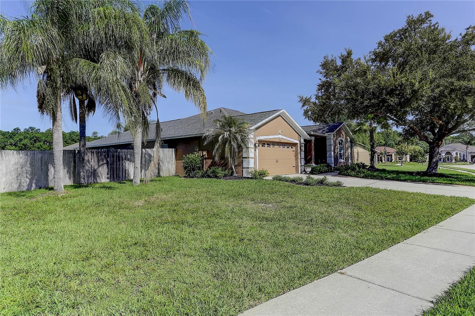Large Side Yard - 3815 RED BLUFF CT, LAND O LAKES