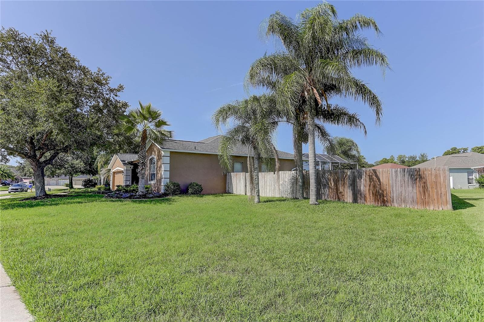 Large Side Yard - 3815 RED BLUFF CT, LAND O LAKES