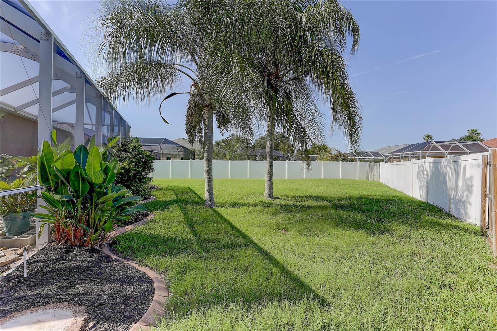 Backyard - 3815 RED BLUFF CT, LAND O LAKES