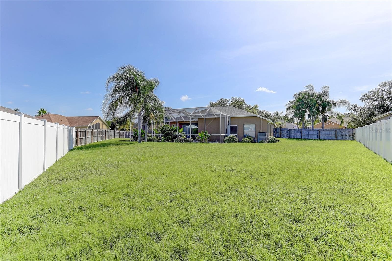 Backyard - 3815 RED BLUFF CT, LAND O LAKES