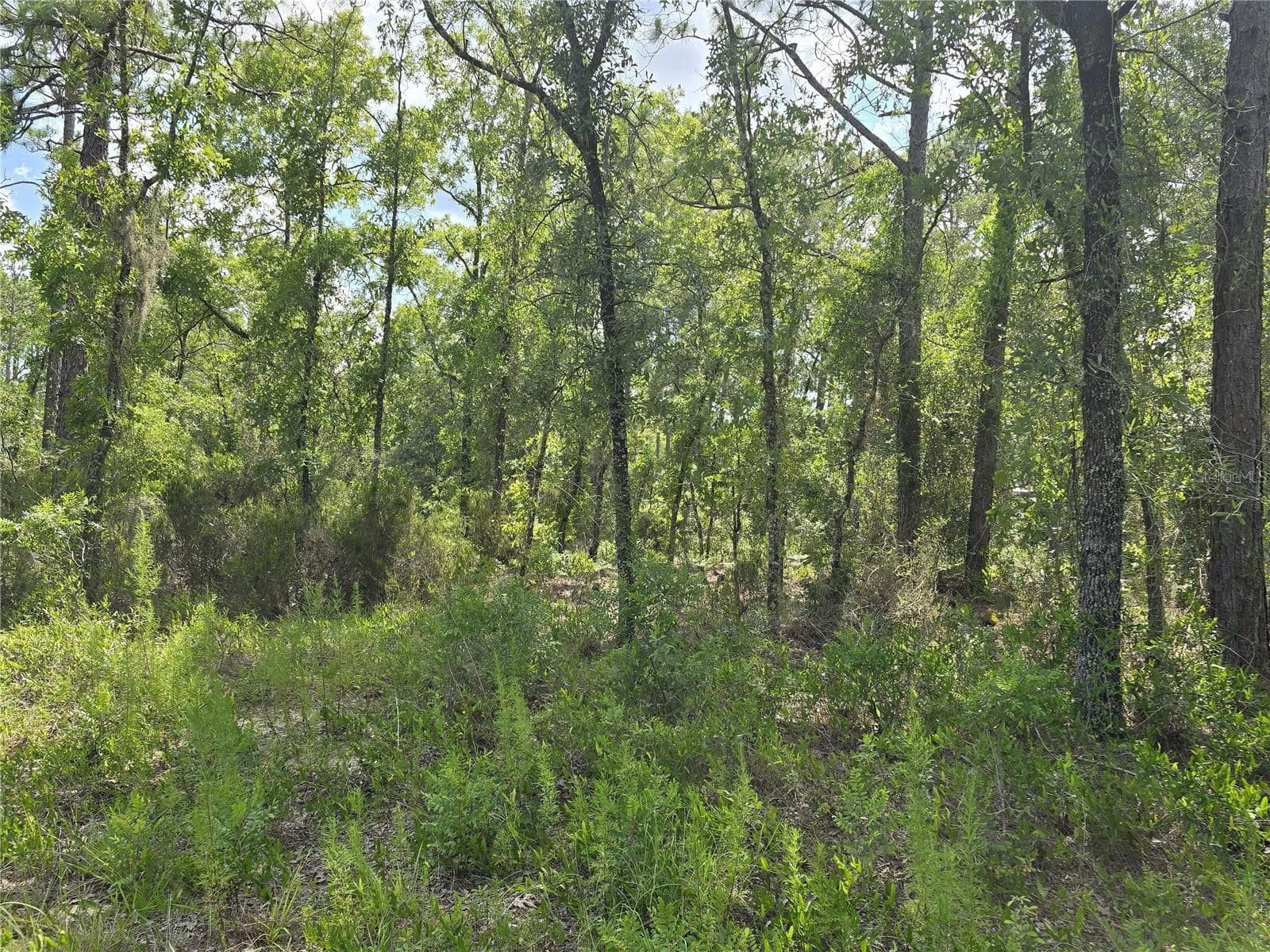 Land at 00 NE 121ST AVE, WILLISTON, photo 10 of 13