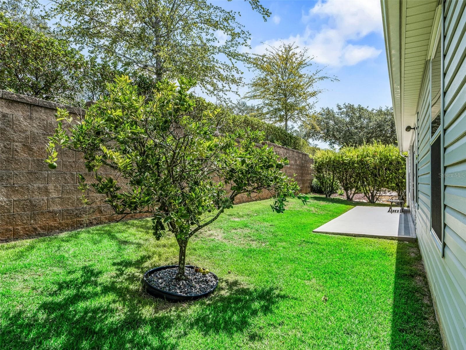 Private back yard with Patio - 764 BAISLEY TRL, THE VILLAGES