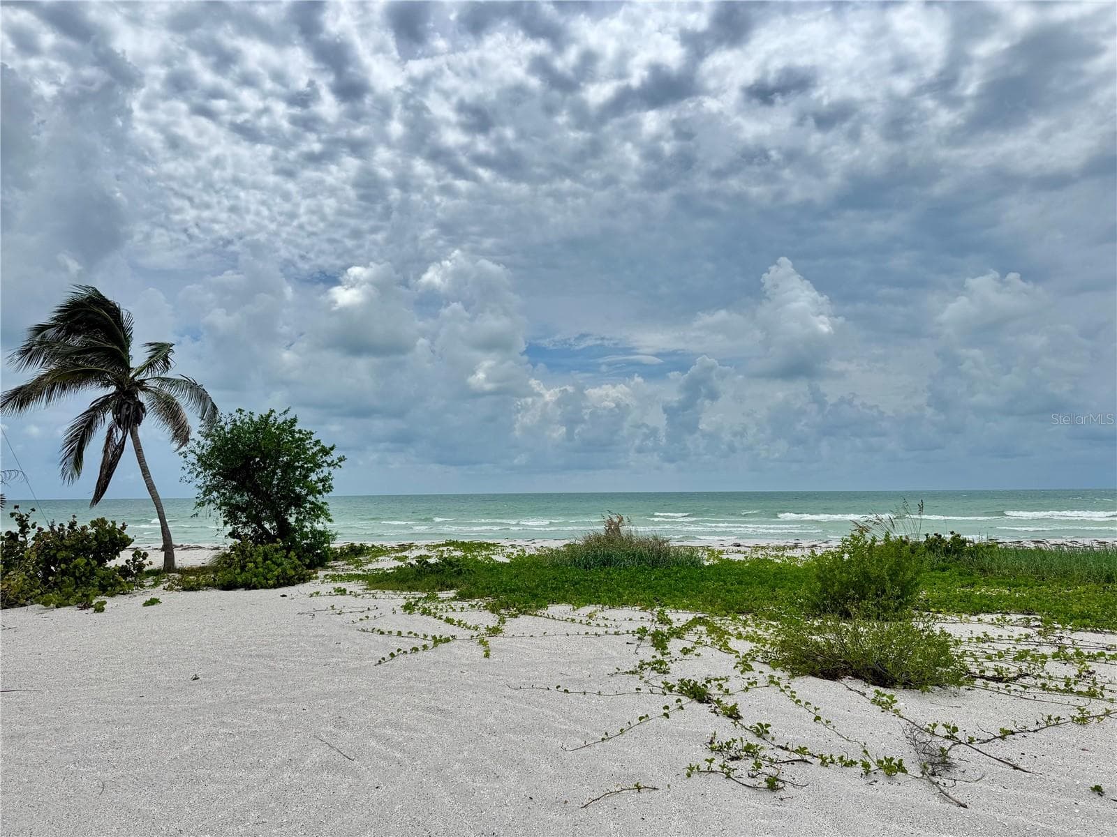 Land at 8164, 8168, 8158, 8156 LITTLE GASPARILLA IS, PLACIDA, photo 11 of 49