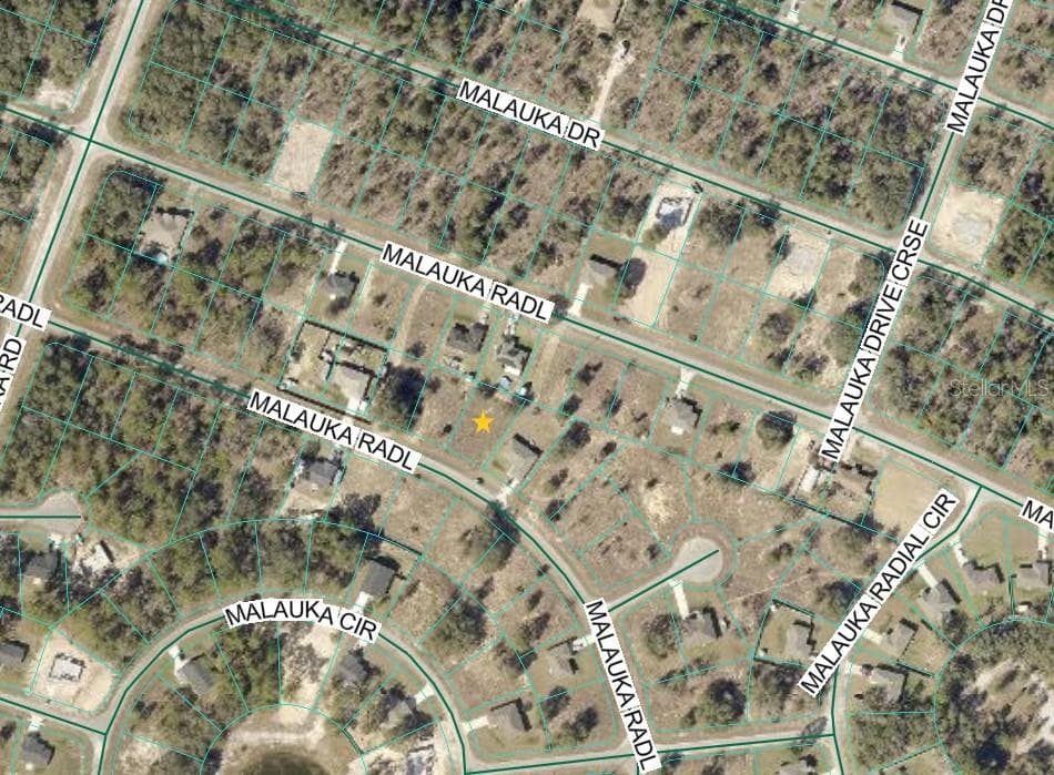 Land at MALAUKA RADIAL, OCKLAWAHA, photo 3 of 5