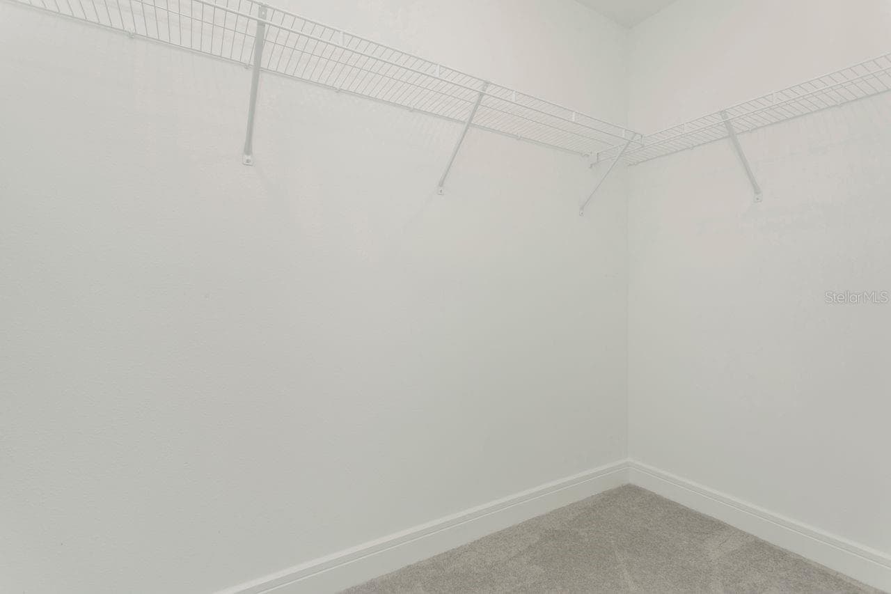 Bedroom 2 - Large walk in Closet - 9909 LONGMEADOW AVE, PARRISH