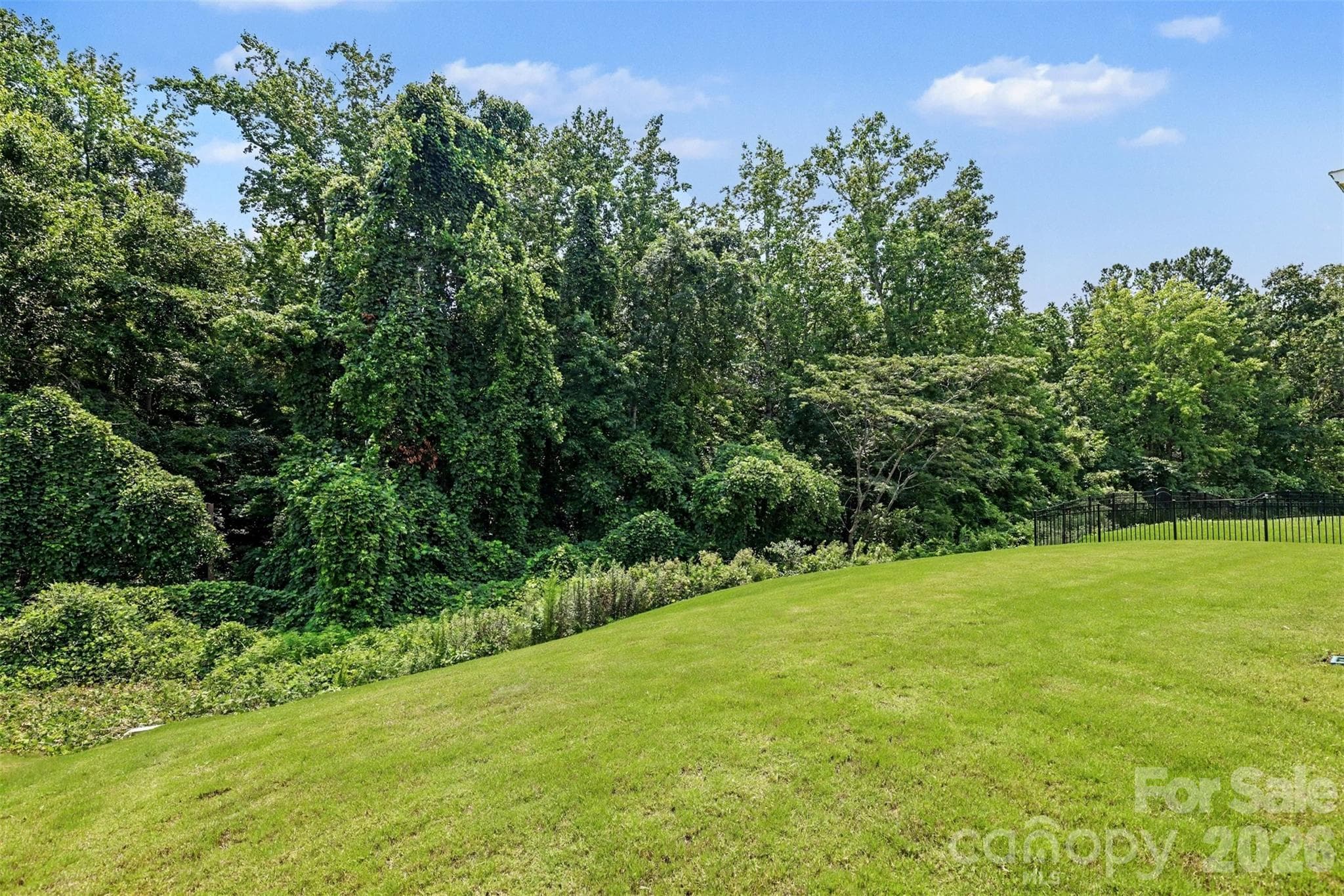 Private Backyard - 2305 Trundle Drive, Gastonia