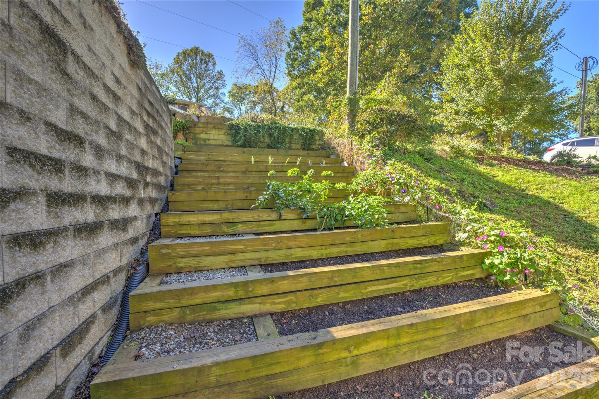 Terraced garden - 118 Houston Street, Asheville
