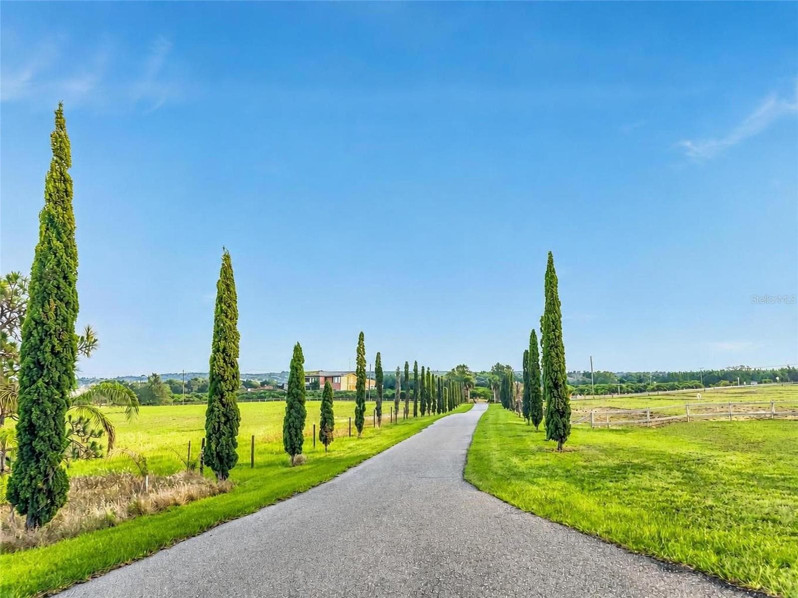 Stunning Cypress Trees Lining the driveway - 915 N CROOKED LAKE DR, BABSON PARK