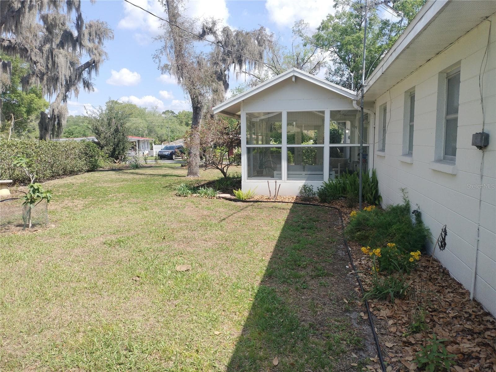 Backyard - 39133 5TH AVE, ZEPHYRHILLS