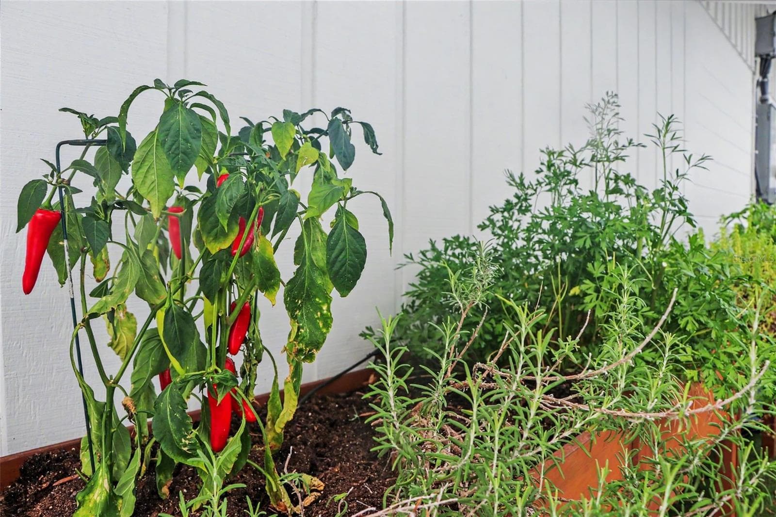 Side of Home - Herb & Spice Garden 1 - 5143 SANDY BEACH AVE, SARASOTA