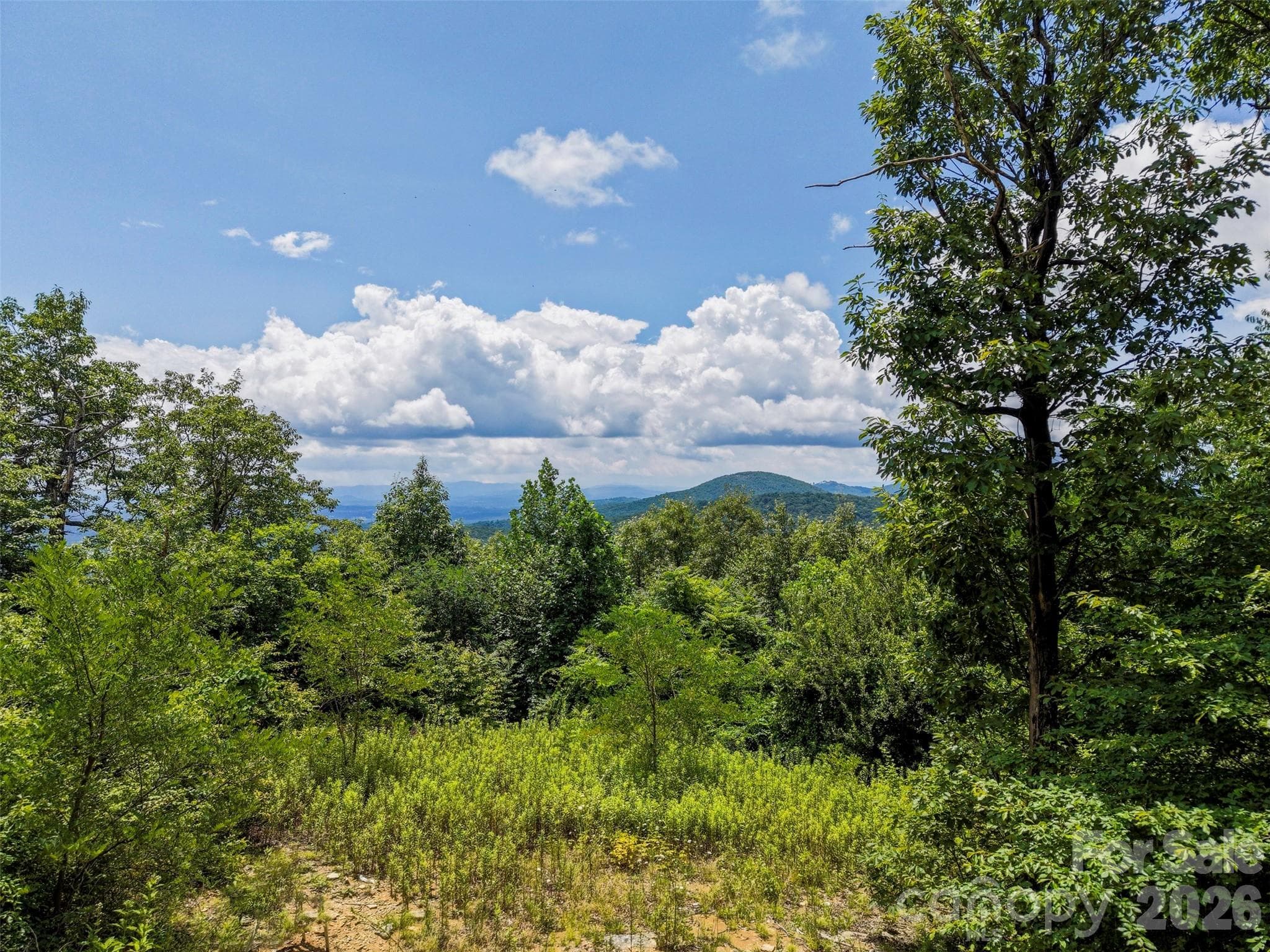 705 Pine Ridge Road