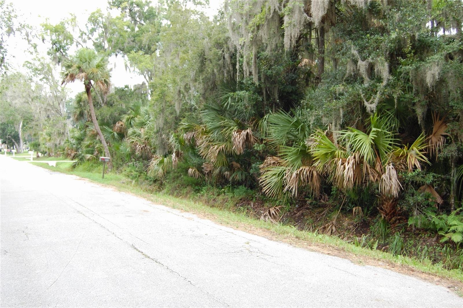 Land at PALM DR, NEW SMYRNA BEACH, photo 2 of 4