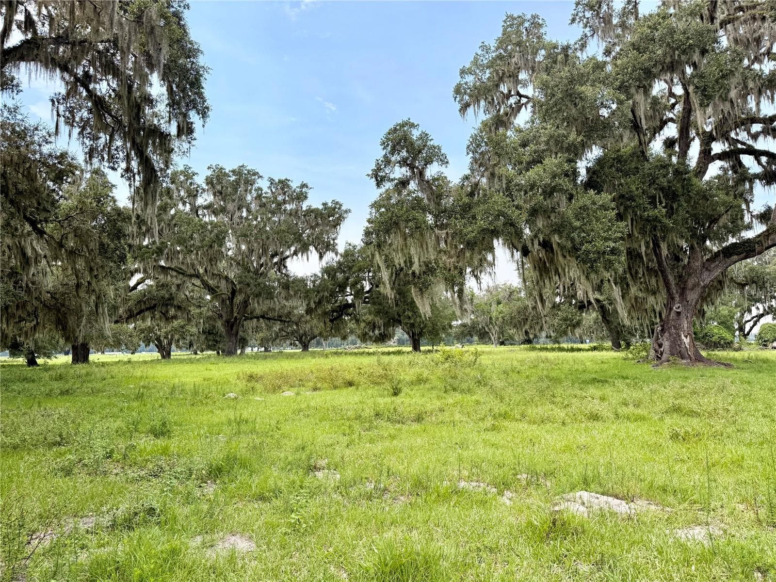 Land at E C-478, WEBSTER, photo 3 of 6