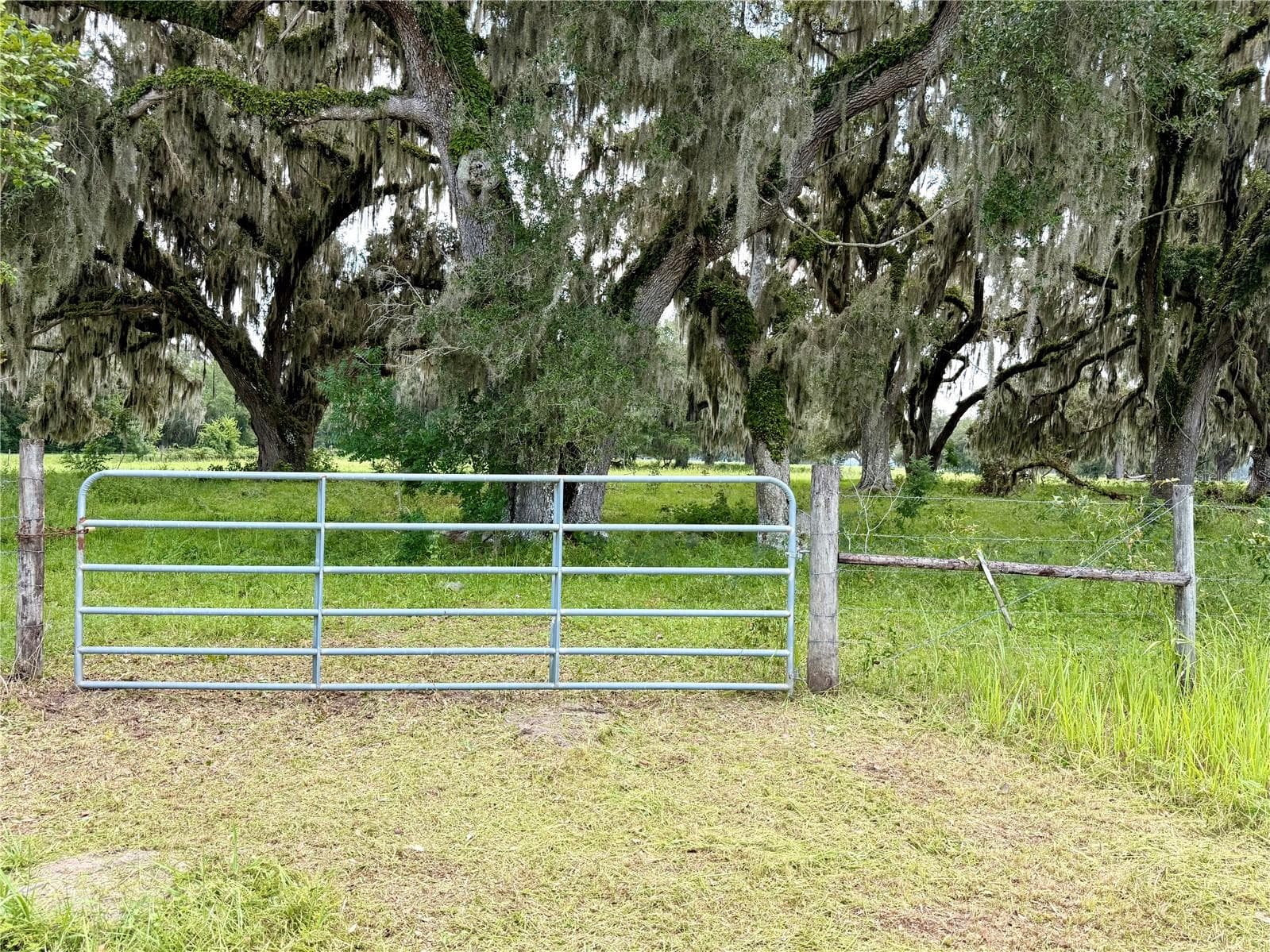 Land at E C-478, WEBSTER, photo 4 of 6