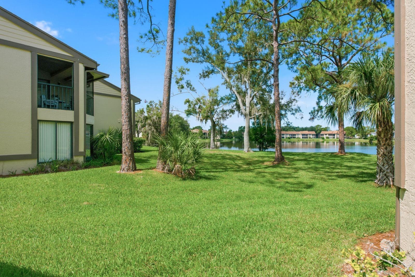 Back view - 10 WOODLAKE PL, OLDSMAR