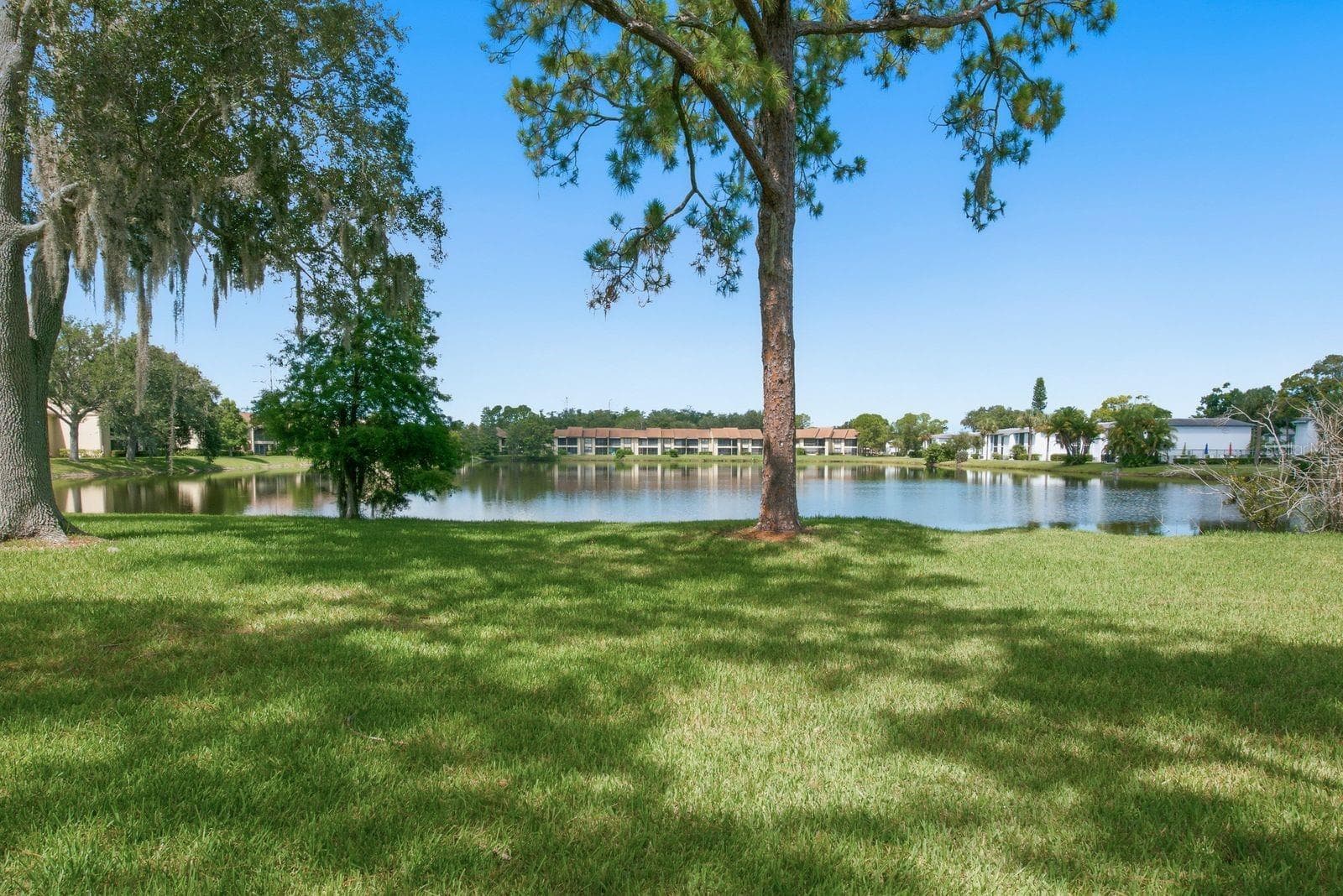 Back view of Building - 10 WOODLAKE PL, OLDSMAR