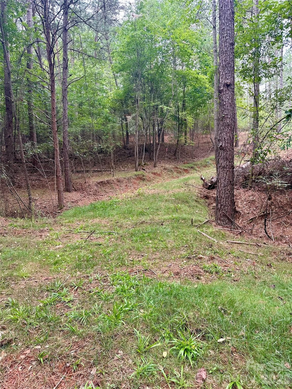 Lot at 116 Cranberry Lane, Mooresboro, photo 11 of 15