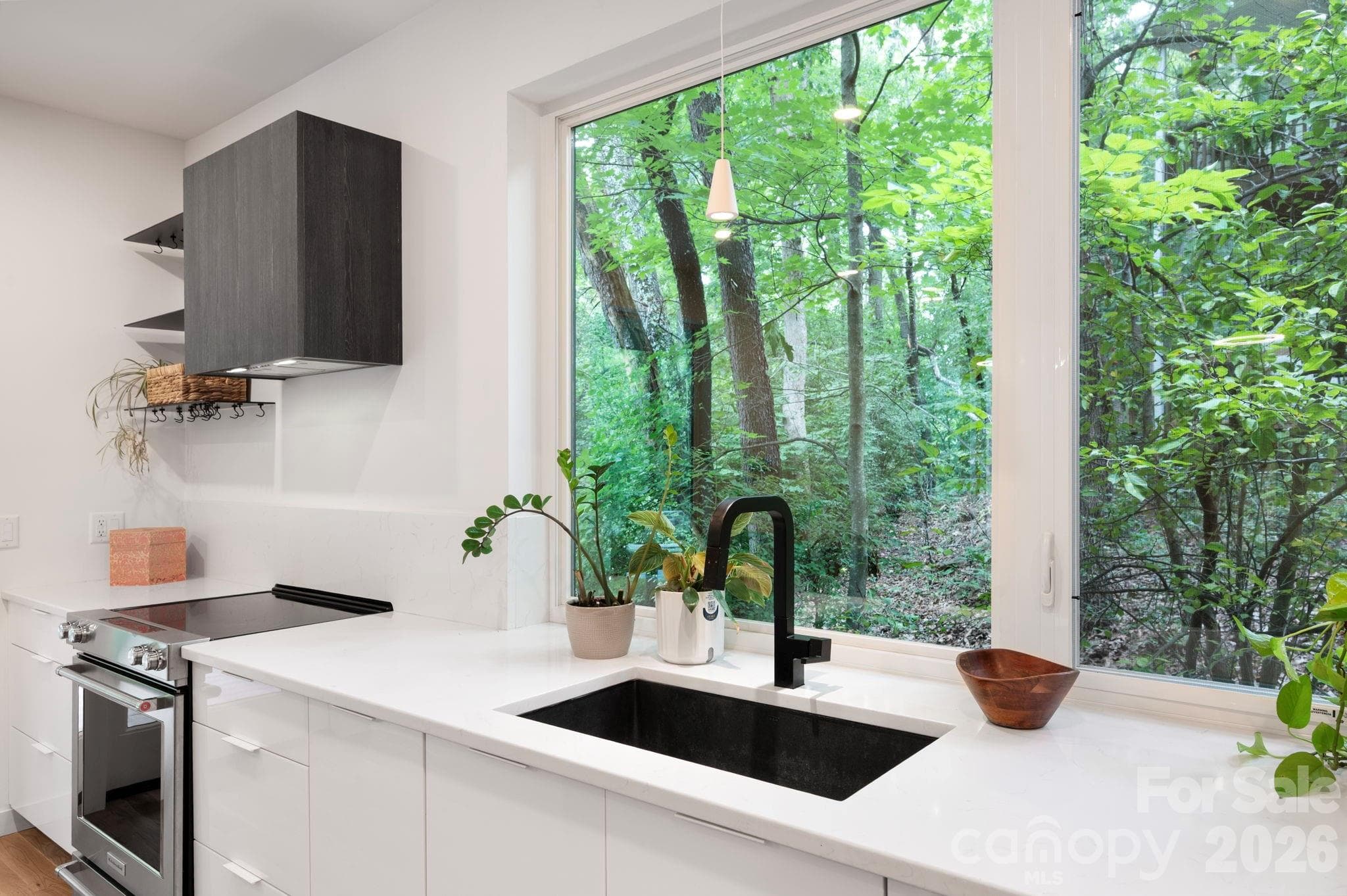 Single Family Residence at 190 Rumbough Place, Asheville, photo 12 of 44
