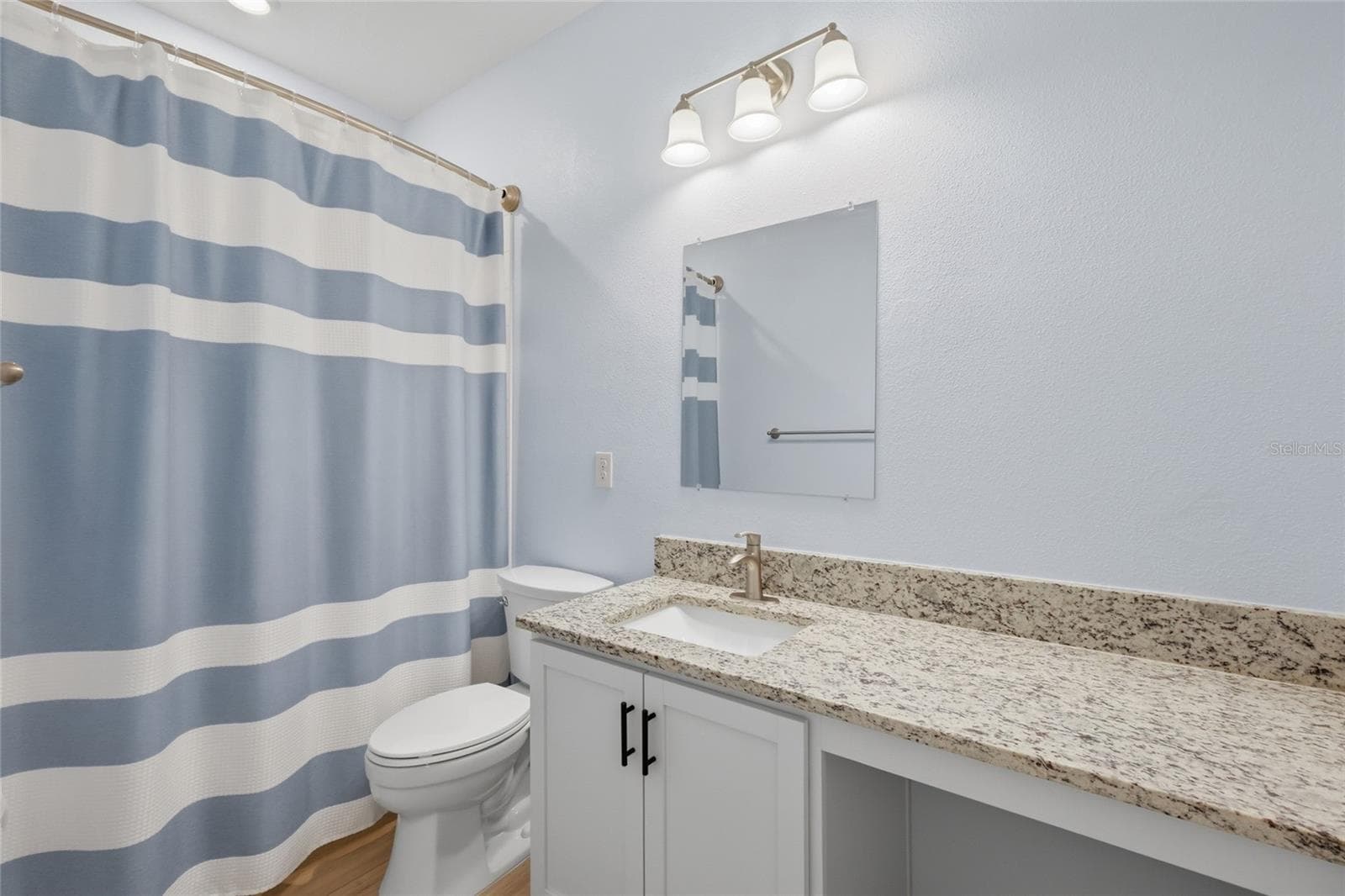 Single Family Residence at 2652 89TH STREET CIR E, PALMETTO, photo 38 of 54