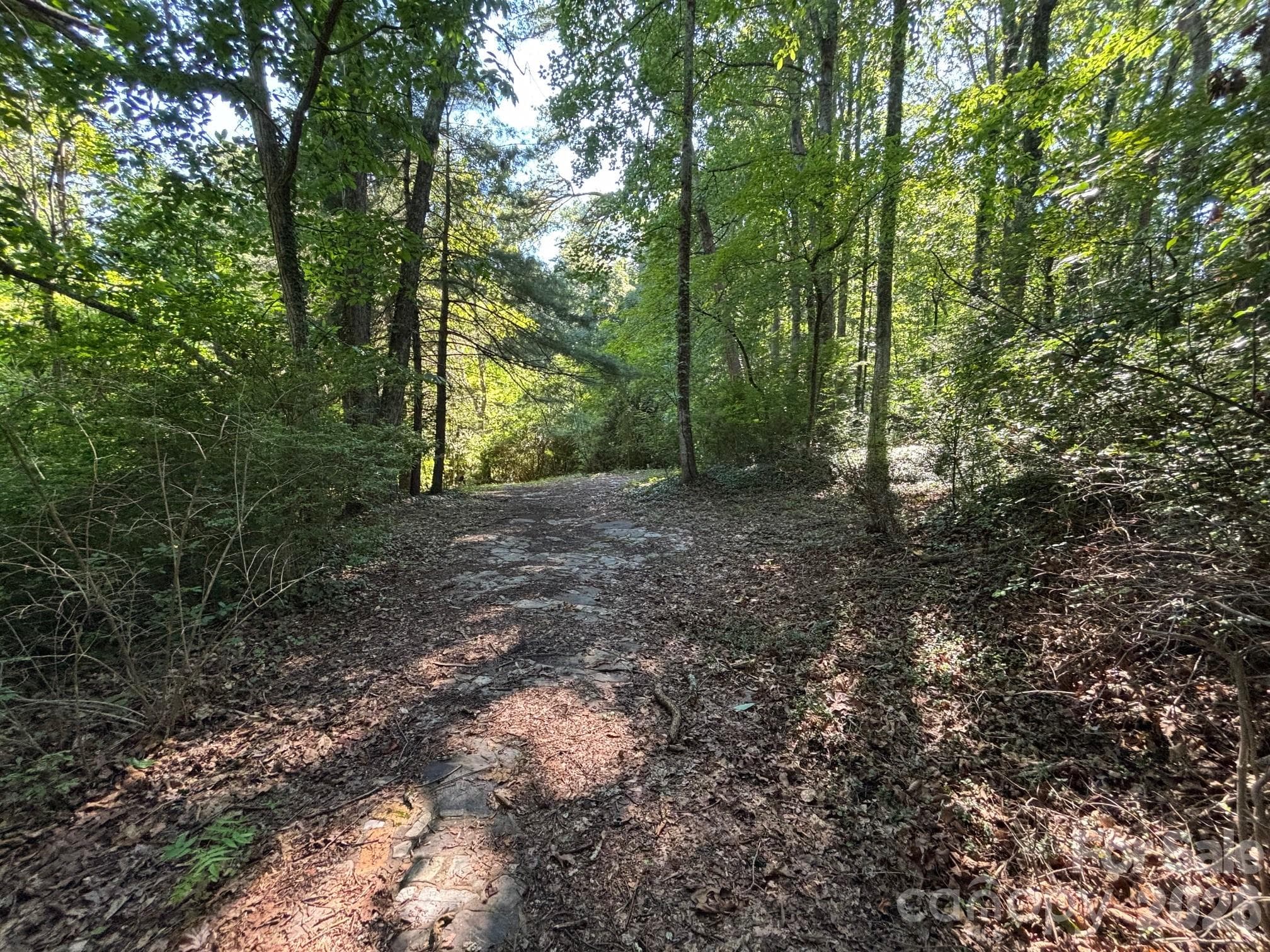 V/L Woodland Drive