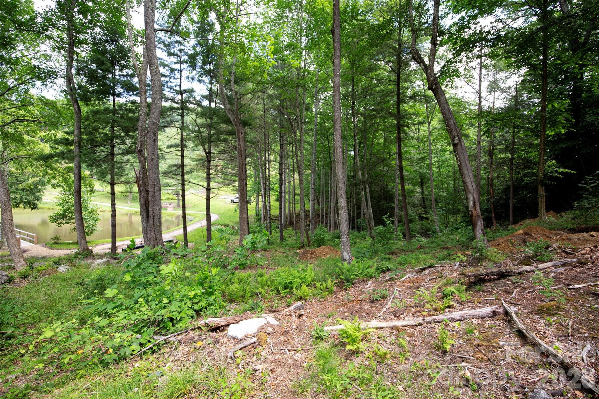Single Family Residence at WR 29 Sierra Trail, Elk Park, photo 16 of 28