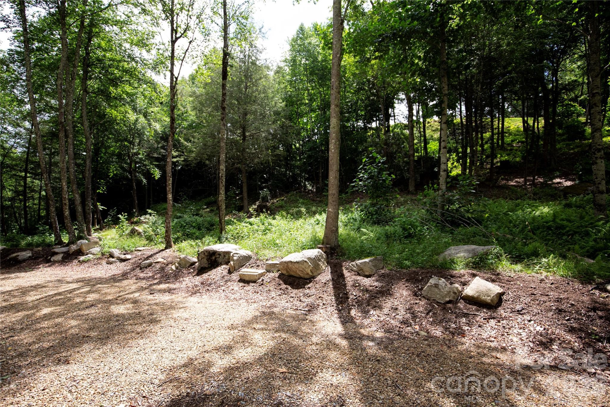 Single Family Residence at WR 29 Sierra Trail, Elk Park, photo 23 of 28