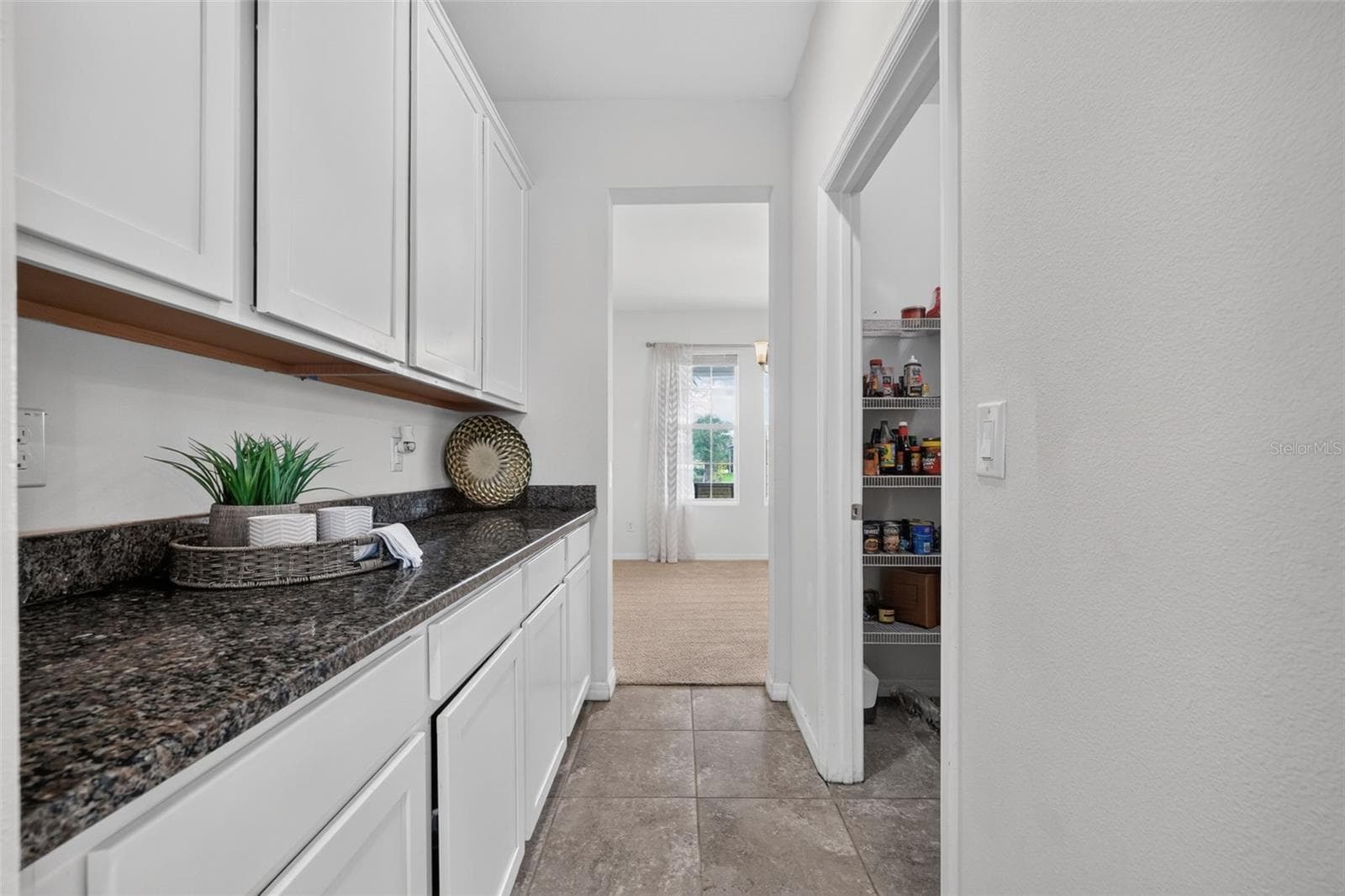 Single Family Residence at 6541 DEVESTA LOOP, PALMETTO, photo 19 of 61