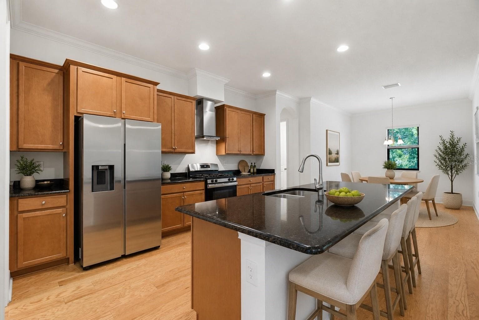 Virtually staged - 3908 GAVIOTA DR, SUN CITY CENTER