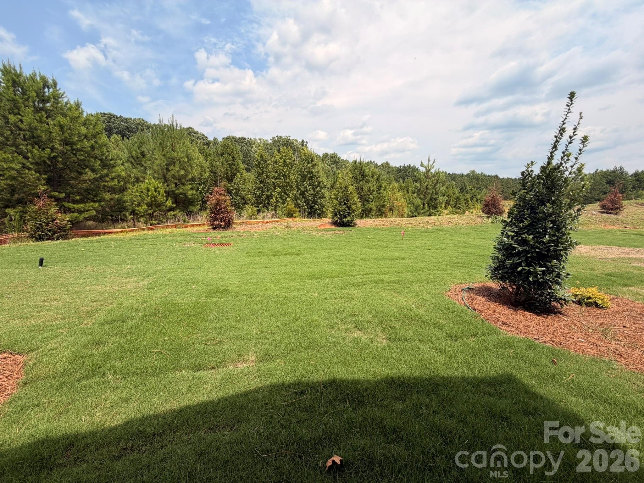 Backyard - 450 Blythe Townhome Lane, Waxhaw