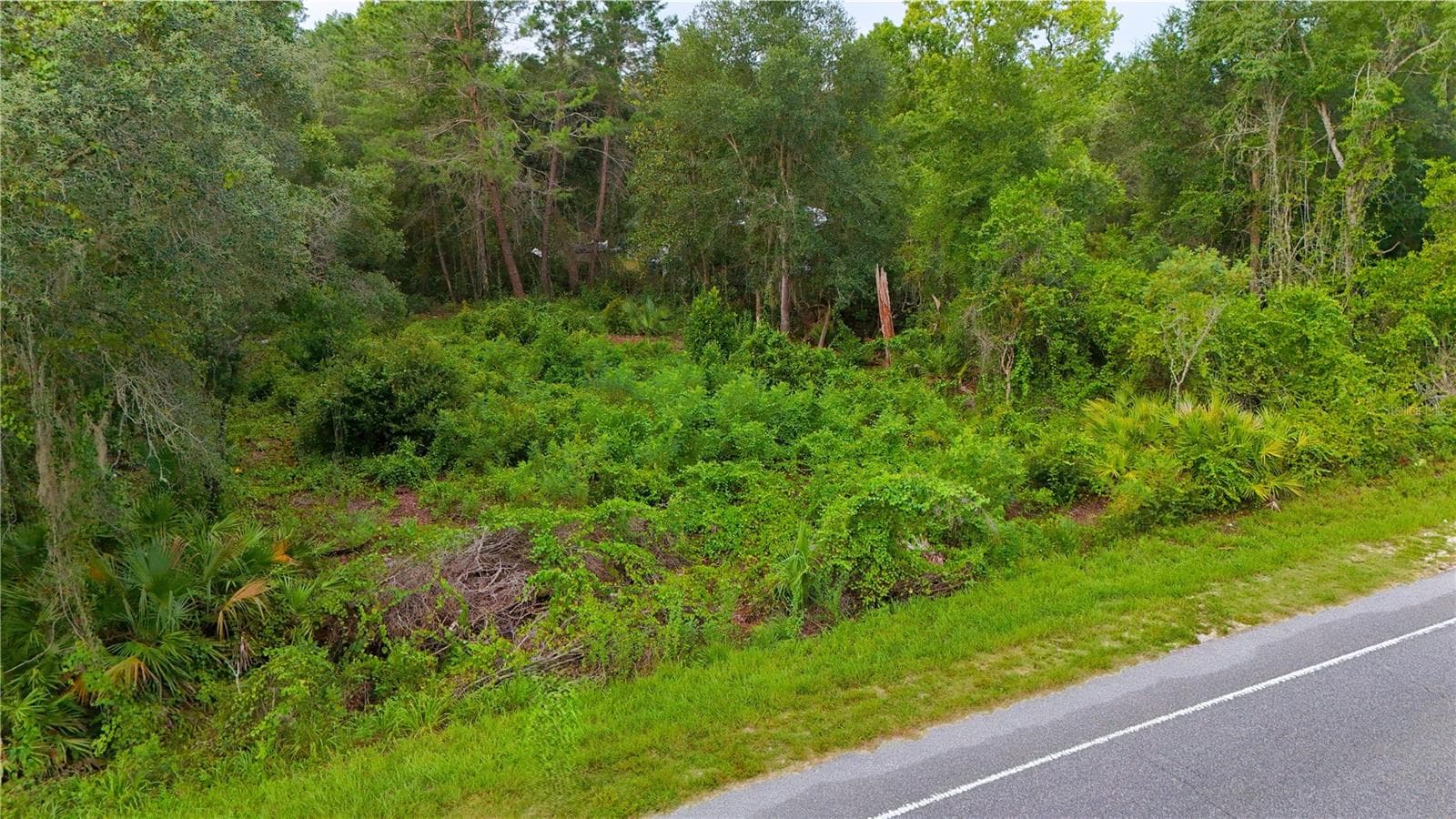 Land at COUNTY ROAD 42, PAISLEY, photo 7 of 8