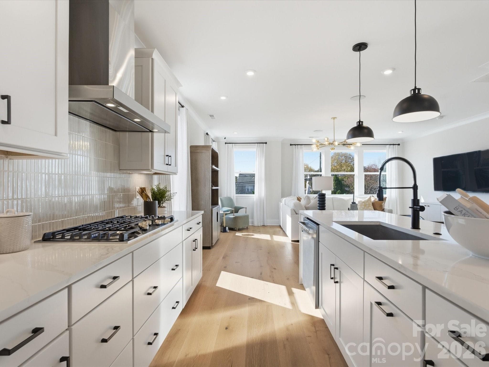 Conceptual - 6028 Yellow Buckeye Drive, Charlotte