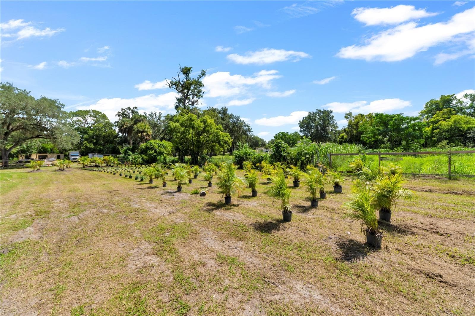 Land at 9922 ROCKHILL RD, THONOTOSASSA, photo 31 of 43