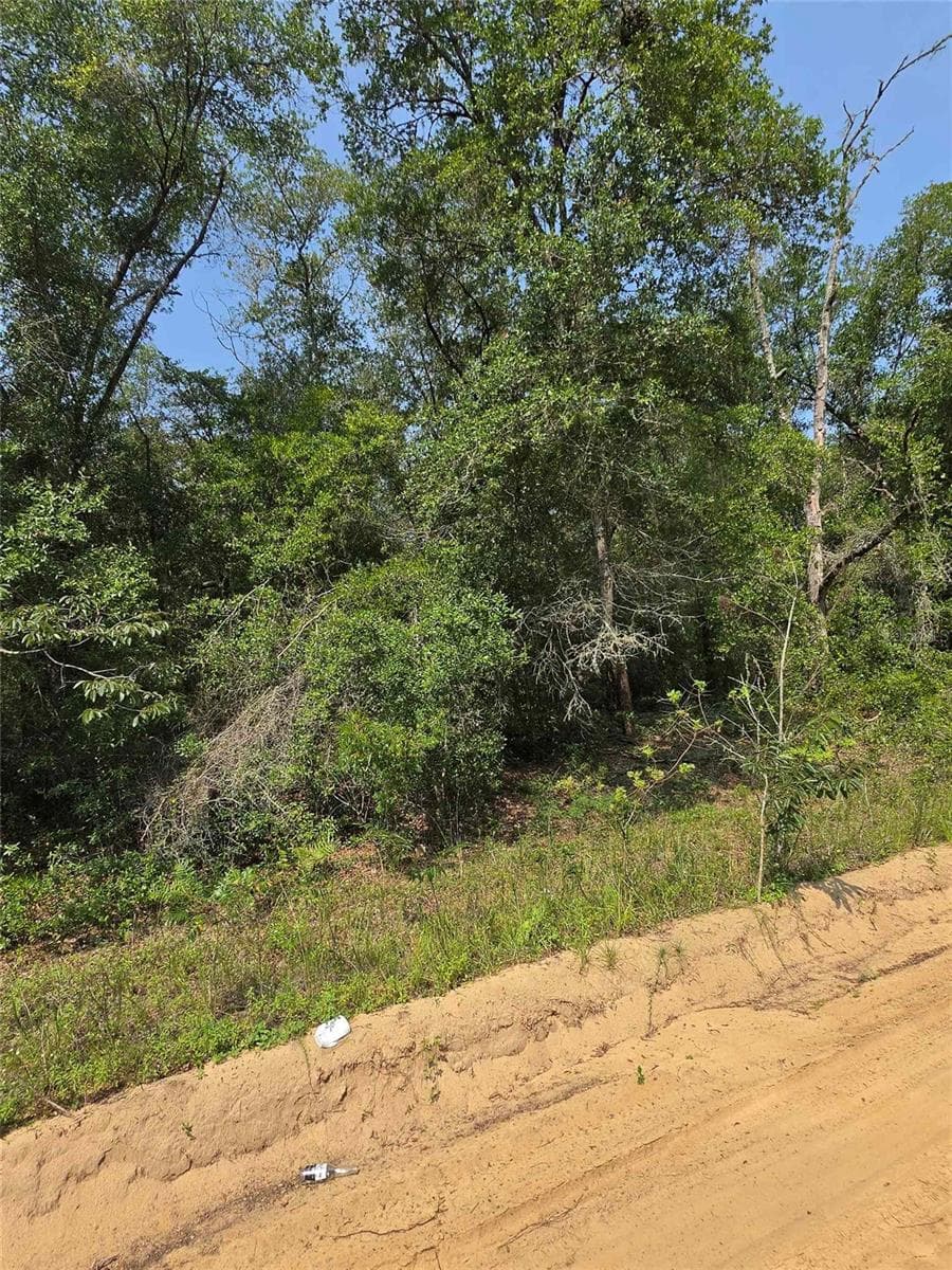 Land at 0 SHERMAN DRIVE CIRCLE, INTERLACHEN, photo 2 of 4
