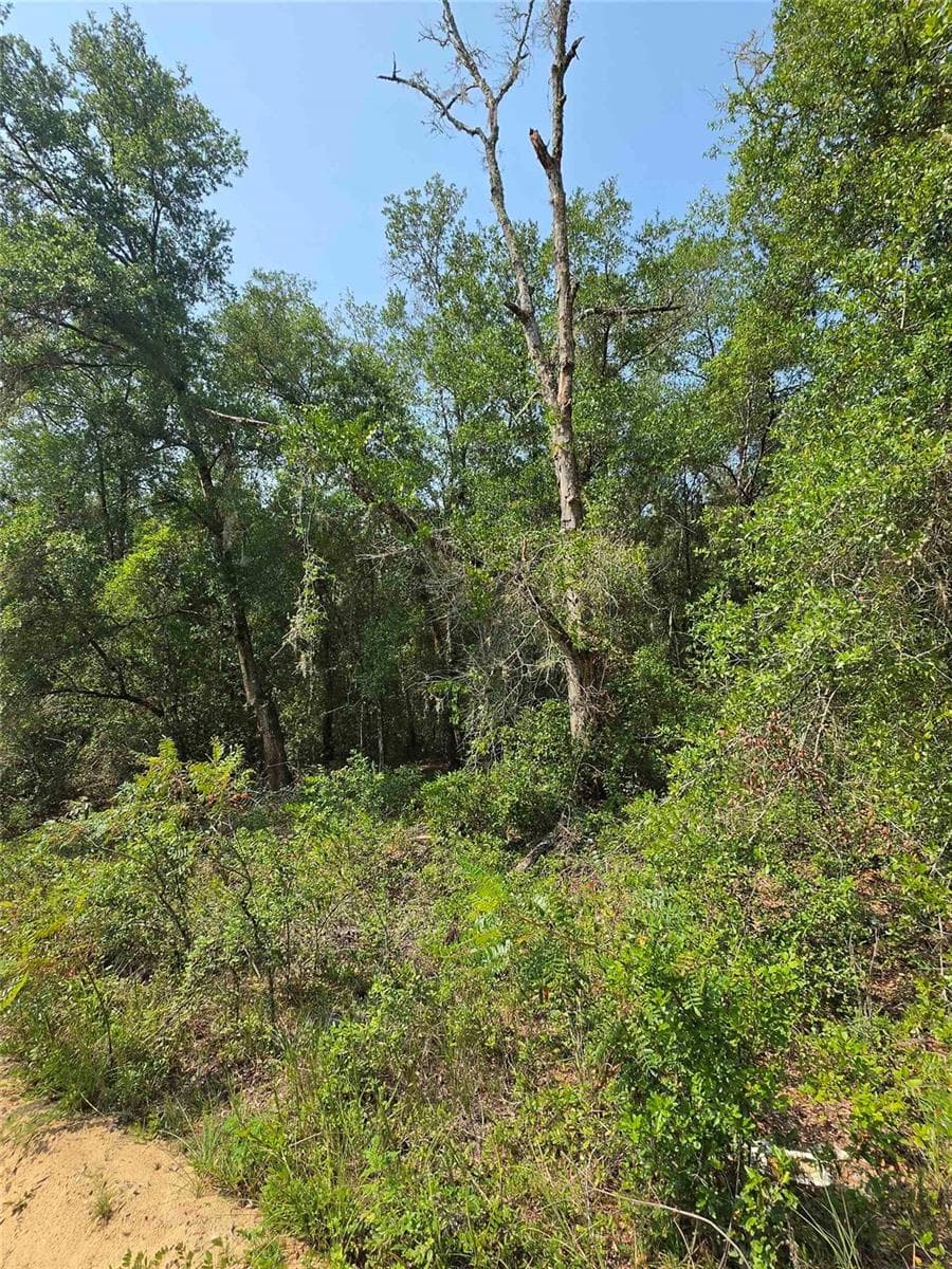 Land at 0 SHERMAN DRIVE CIRCLE, INTERLACHEN, photo 3 of 4