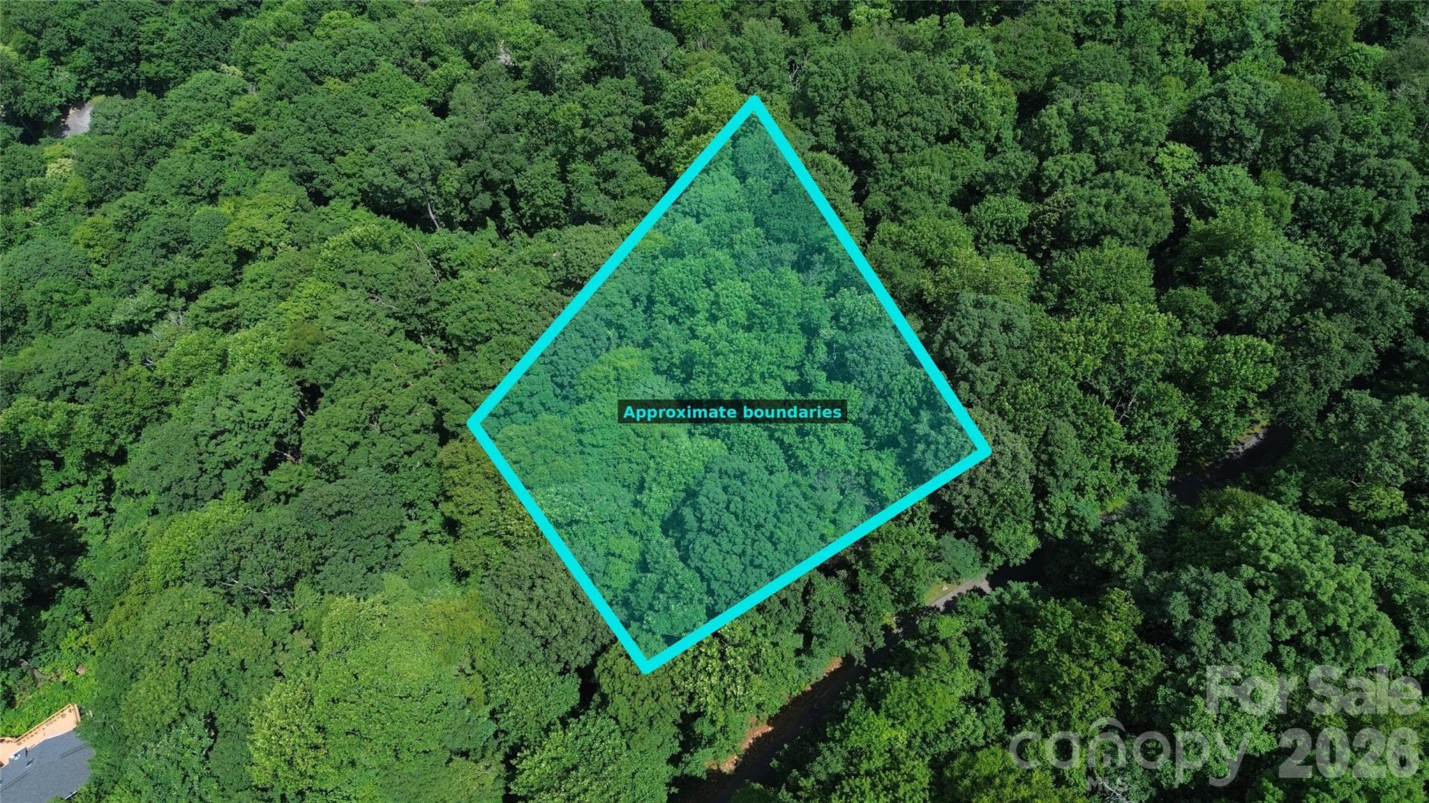 7 White Birch Court