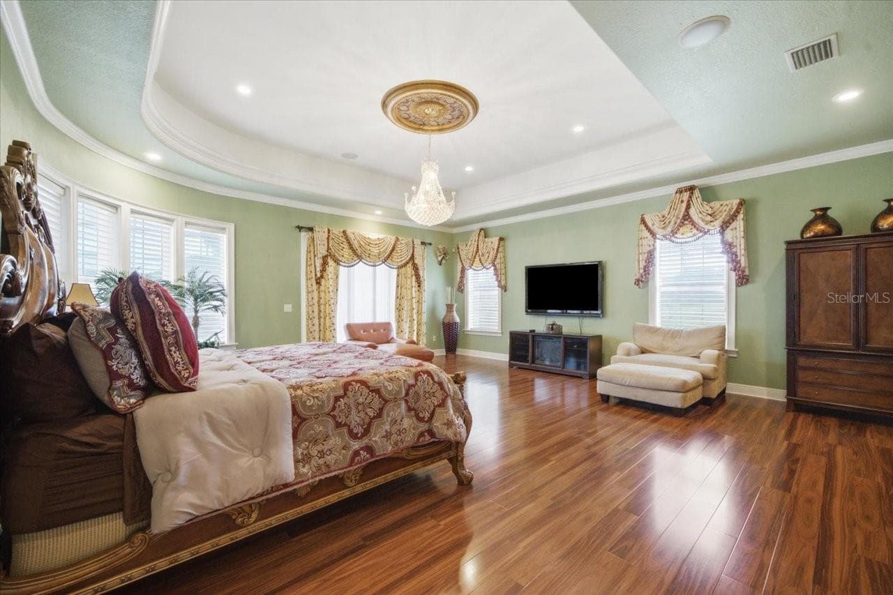 Master Bedroom Downstairs - 19402 JACOBS RIVER RUN, LUTZ