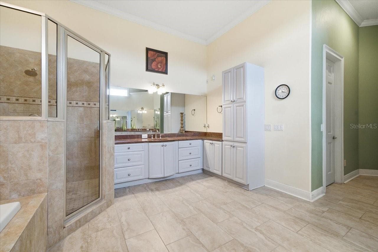 Master Bathroom - 19402 JACOBS RIVER RUN, LUTZ