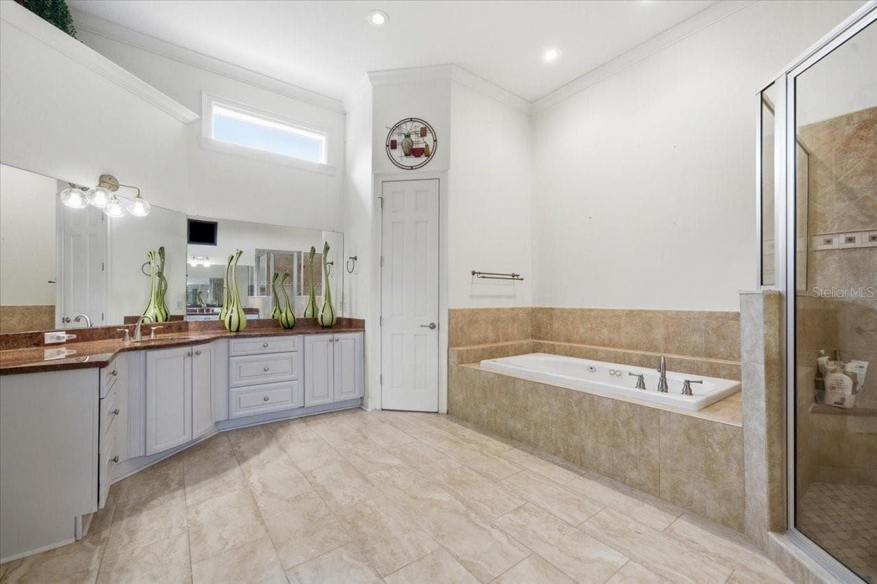 Master Bathroom - 19402 JACOBS RIVER RUN, LUTZ