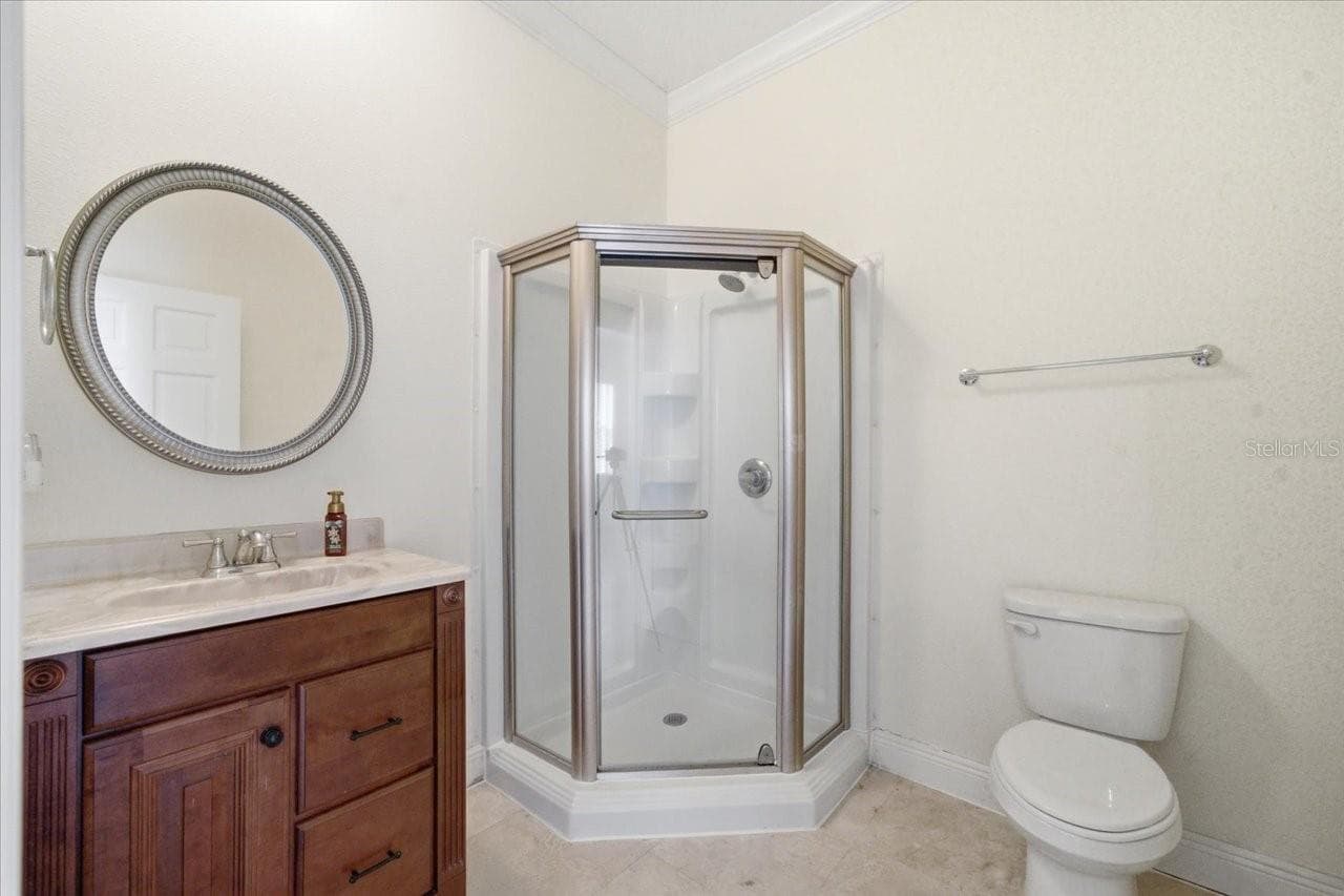 MIL Bathroom - 19402 JACOBS RIVER RUN, LUTZ