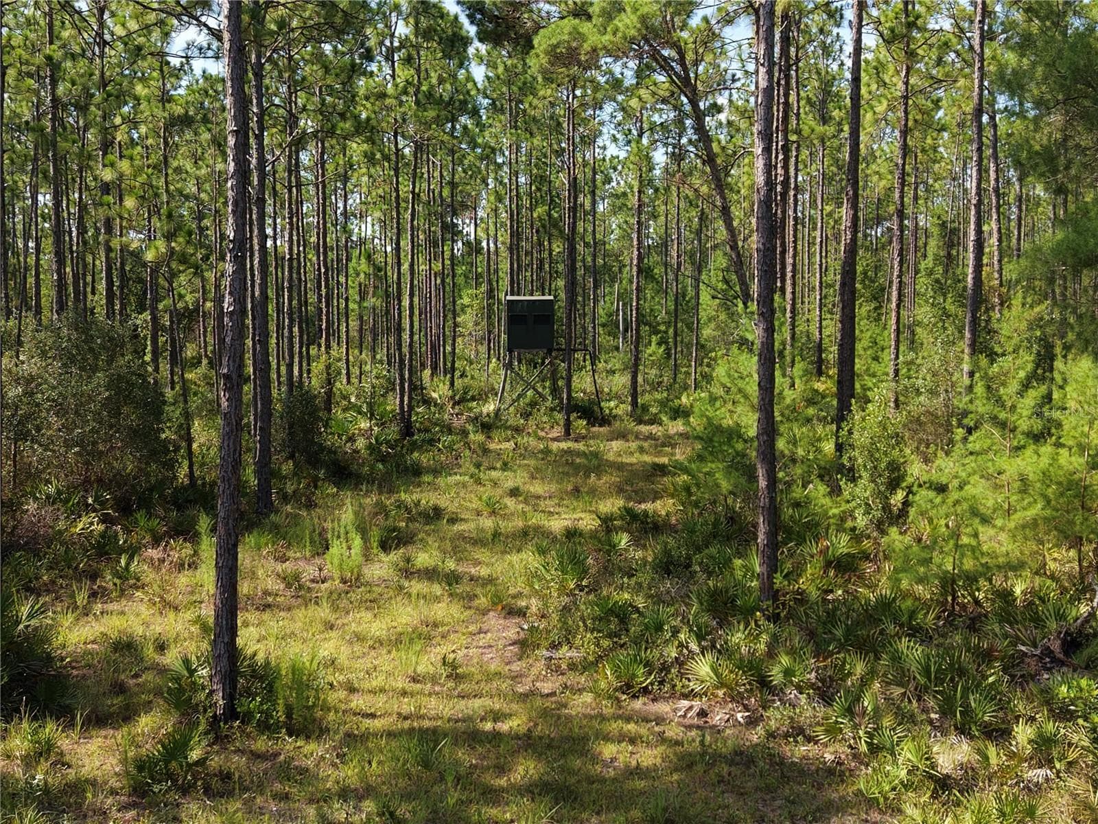 Manufactured Home at 375 BUCK SPRINGS RD, PALATKA, photo 6 of 78