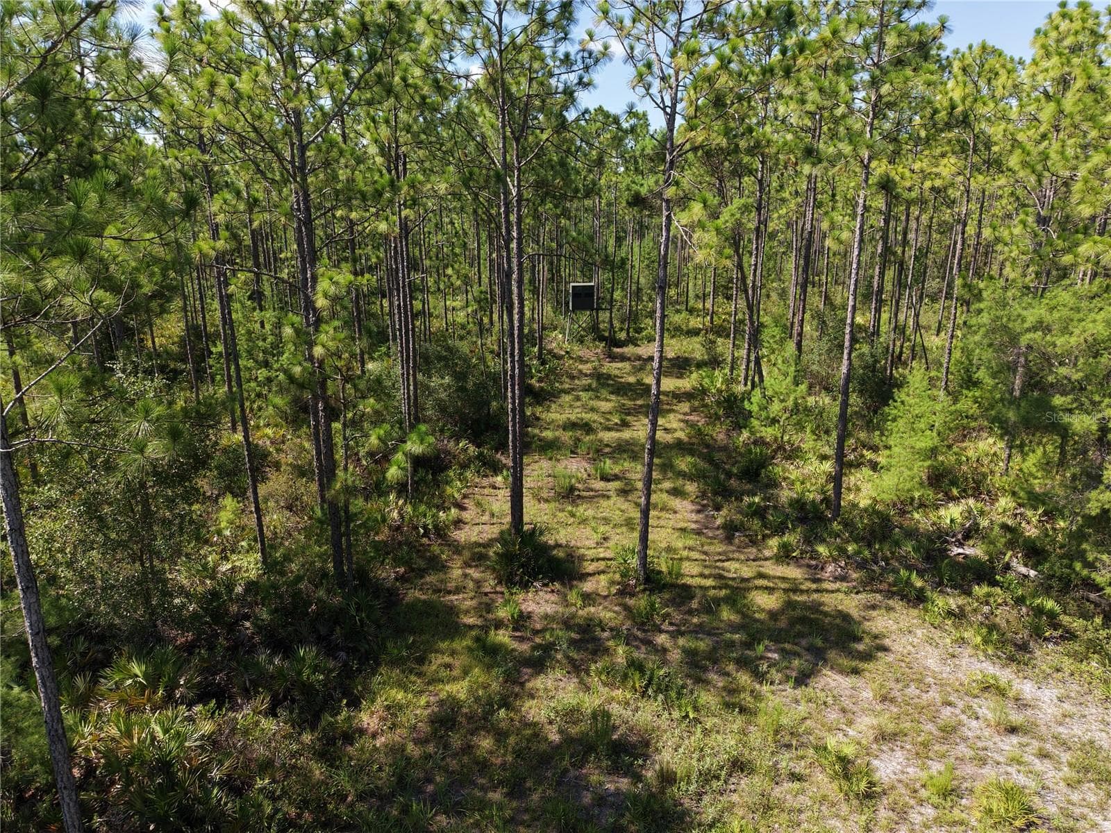Manufactured Home at 375 BUCK SPRINGS RD, PALATKA, photo 49 of 78