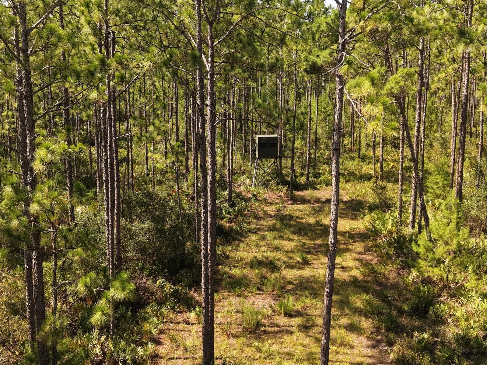 Manufactured Home at 375 BUCK SPRINGS RD, PALATKA, photo 50 of 78