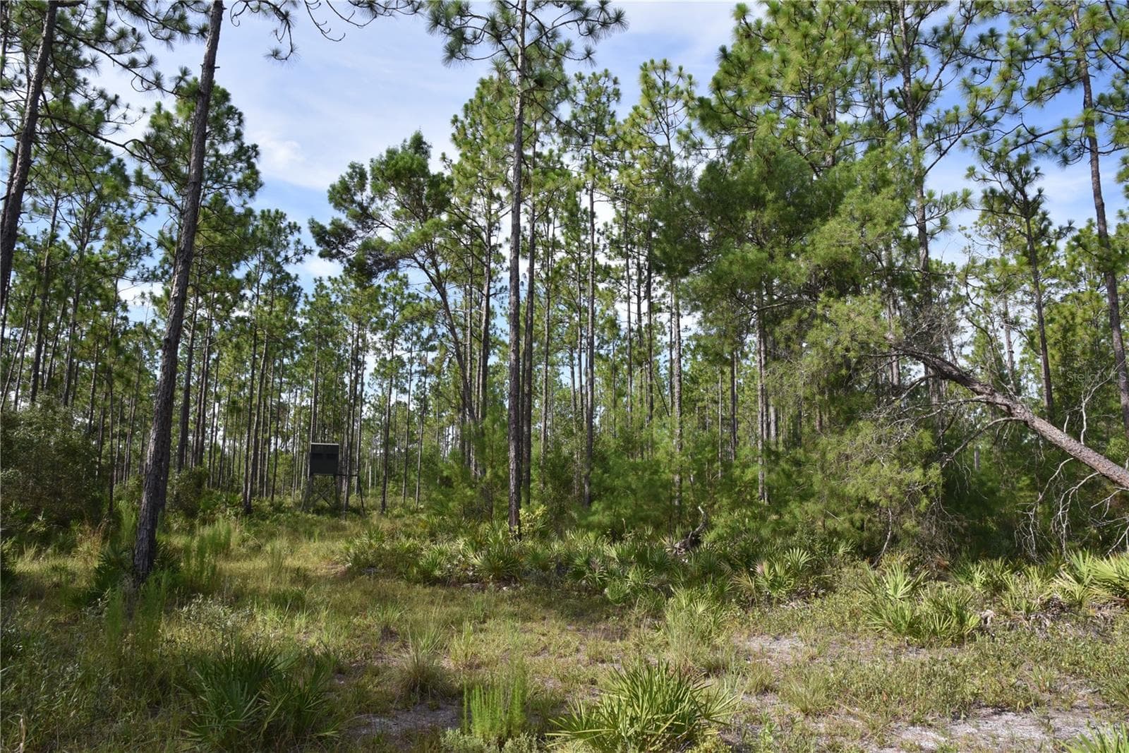 Manufactured Home at 375 BUCK SPRINGS RD, PALATKA, photo 60 of 78