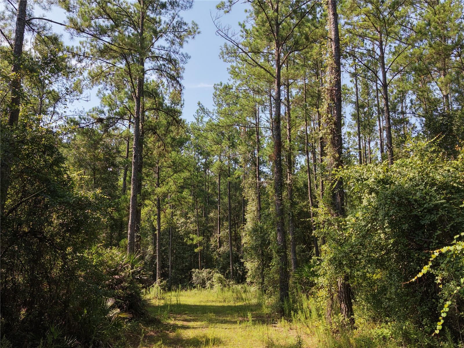 Manufactured Home at 375 BUCK SPRINGS RD, PALATKA, photo 62 of 78